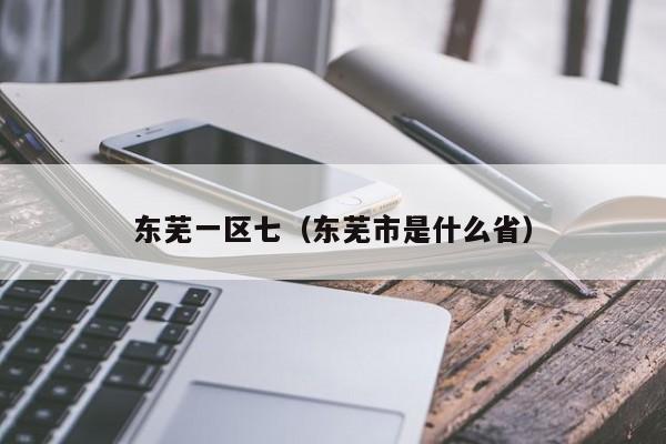 东芜一区七（东芜市是什么省）