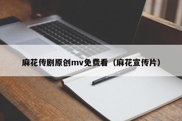 麻花传剧原创mv免费看（麻花宣传片）