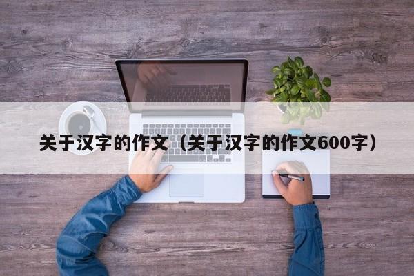 关于汉字的作文（关于汉字的作文600字）