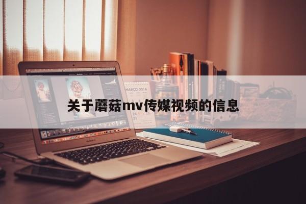 关于蘑菇mv传媒视频的信息