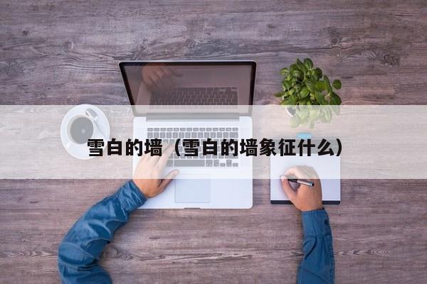 雪白的墙（雪白的墙象征什么）