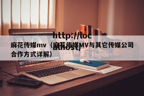 麻花传媒mv（麻花传媒MV与其它传媒公司合作方式详解）